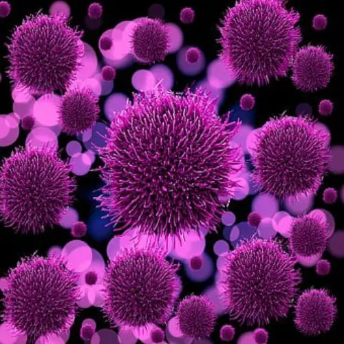 Bacterial-And-Viral-Treatment--in-Charlotte-North-Carolina-bacterial-and-viral-treatment-charlotte-north-carolina.jpg-image