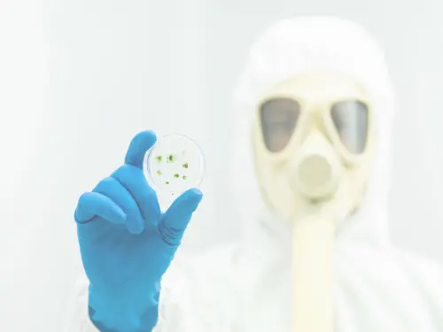 Mold Testing | Water Restoration Services
